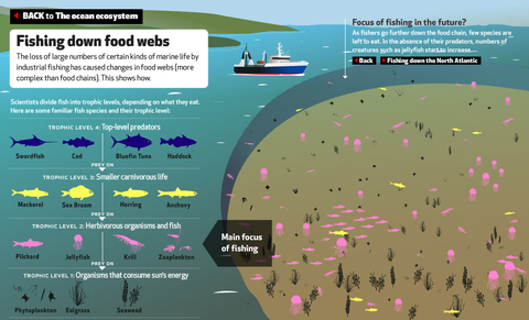 EyeOverFishing.org - Compare fisheries-2.jpg